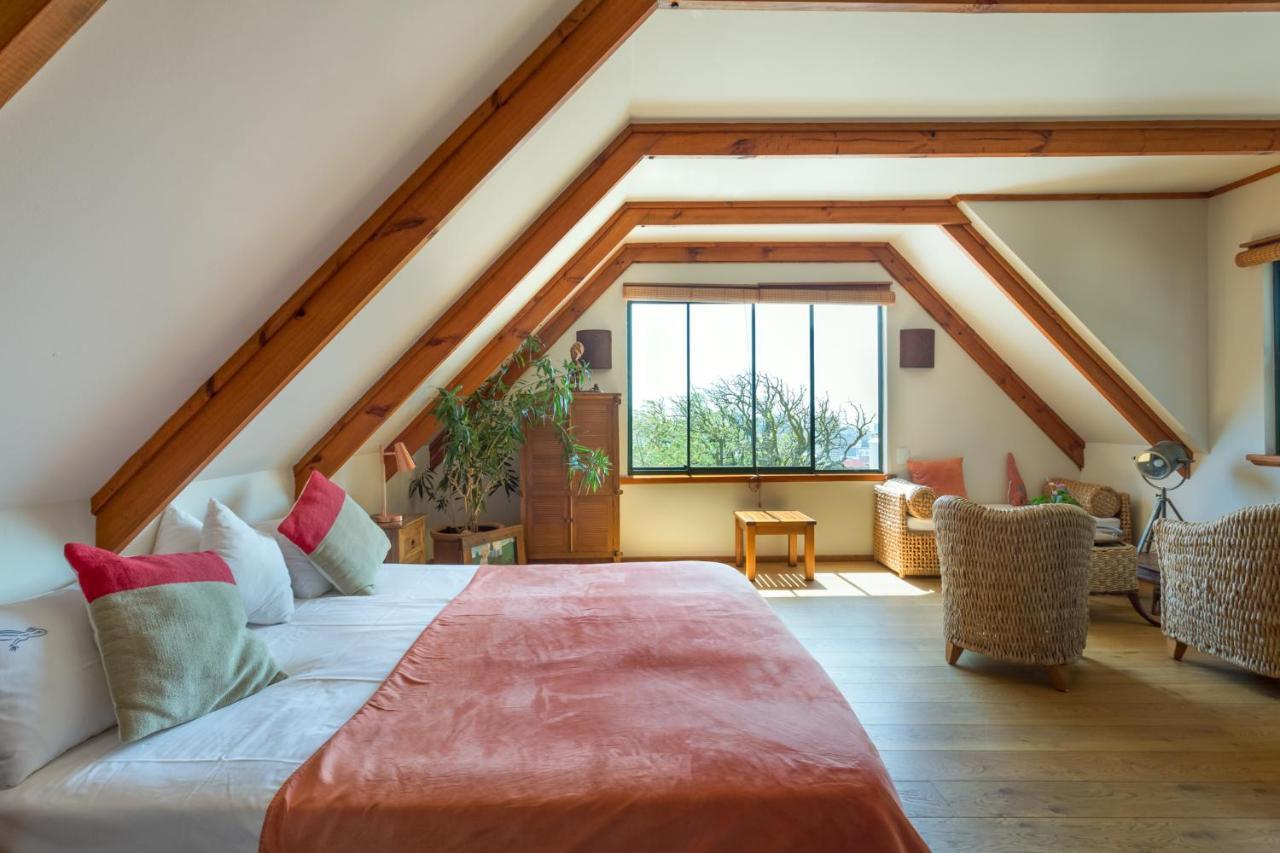 Lezard Bleu Guest House Kapstaden Eksteriør billede